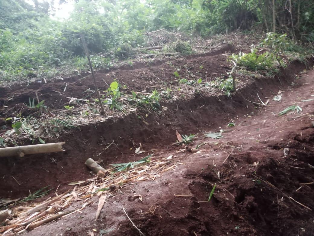 D:\VILLAGE REPORT PICTURES\UMLING BLOCK\18th Mile\WhatsApp Image 2023-02-03 at 15.37.01.jpeg